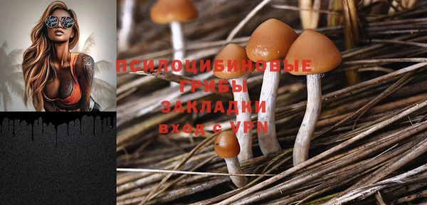 а пвп мука Кукмор