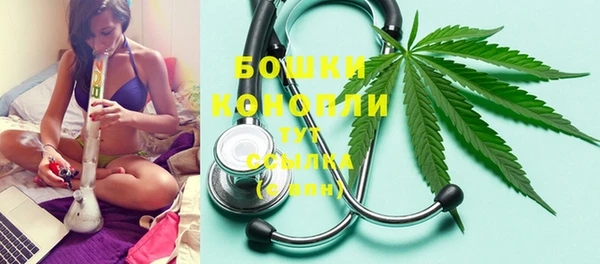тгк Дедовск