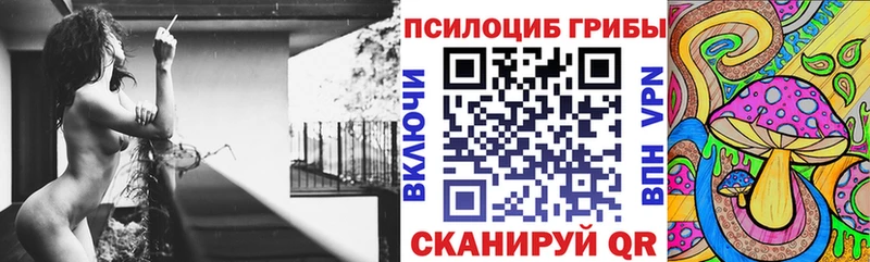 наркошоп  Невельск  Псилоцибиновые грибы прущие грибы 